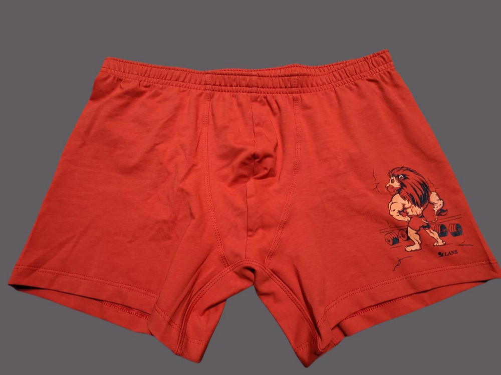 Чоловічі труси транки Lans "Лев" 06.012 Київ - фото 3