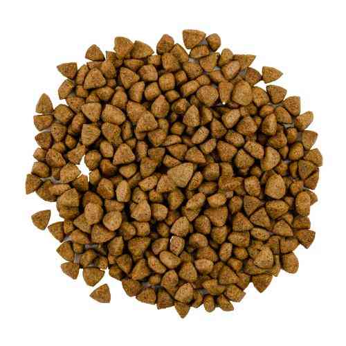 Корм сухий Savory Adult Cat Steril Fresh Lamb and Chicken для стерилізованих котів з ягнятиною та куркою 400 г Київ