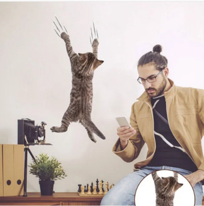 Декоративная наклейка Котик царапает Киев - изображение 5