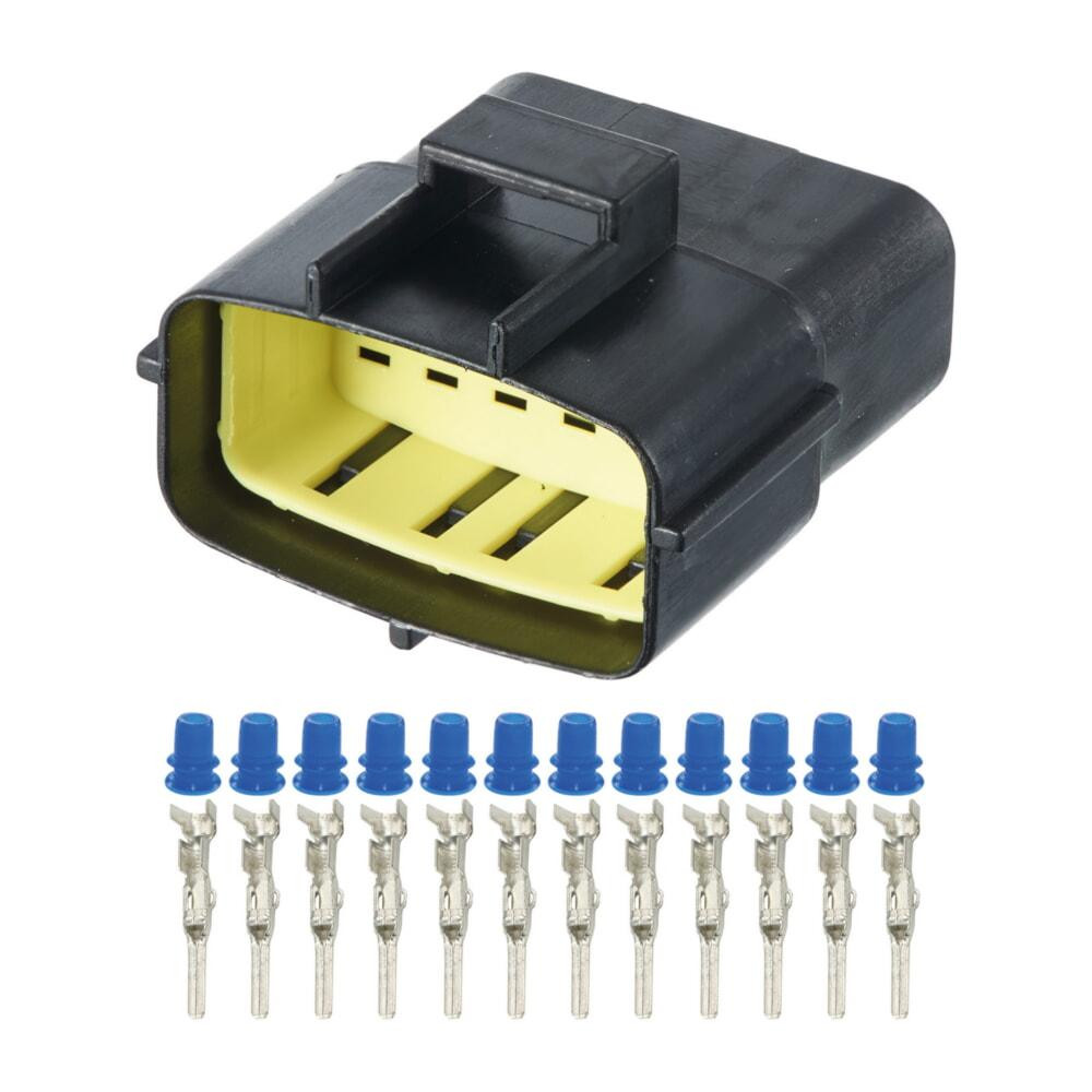 Роз'єм конектор 12-кон., 174663-2, 368537-1, TE Америка, Японія, Америка, Корея, Buick, Cadillac, Chevrolet, Daewoo, Ford, GMC Київ - фото 1