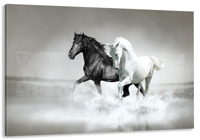 Картина холст в гостиную / спальню Коні    MLP_95 60x100 см Киев - изображение 1