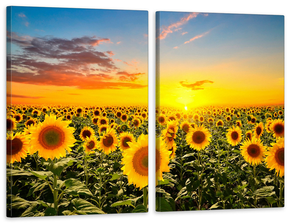 Модульная картина в гостиную / спальню   Соняшник  TLV-2_073 Київ - фото 1