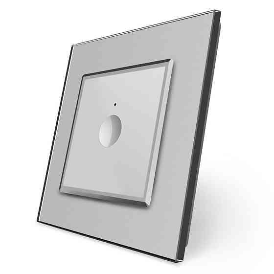 LIVOLO Сенсорний вимикач Sense 1 сенсор Livolo сірий (722000115) Коломия