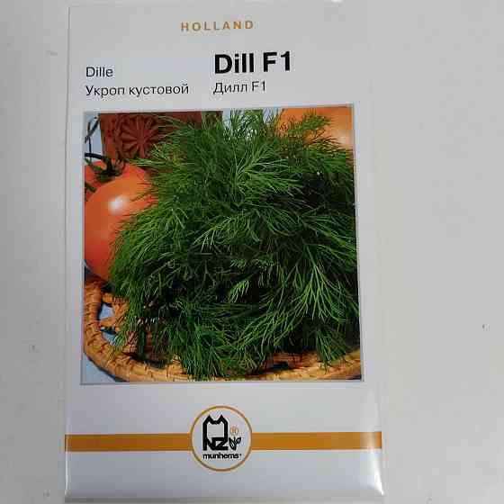 Укроп 