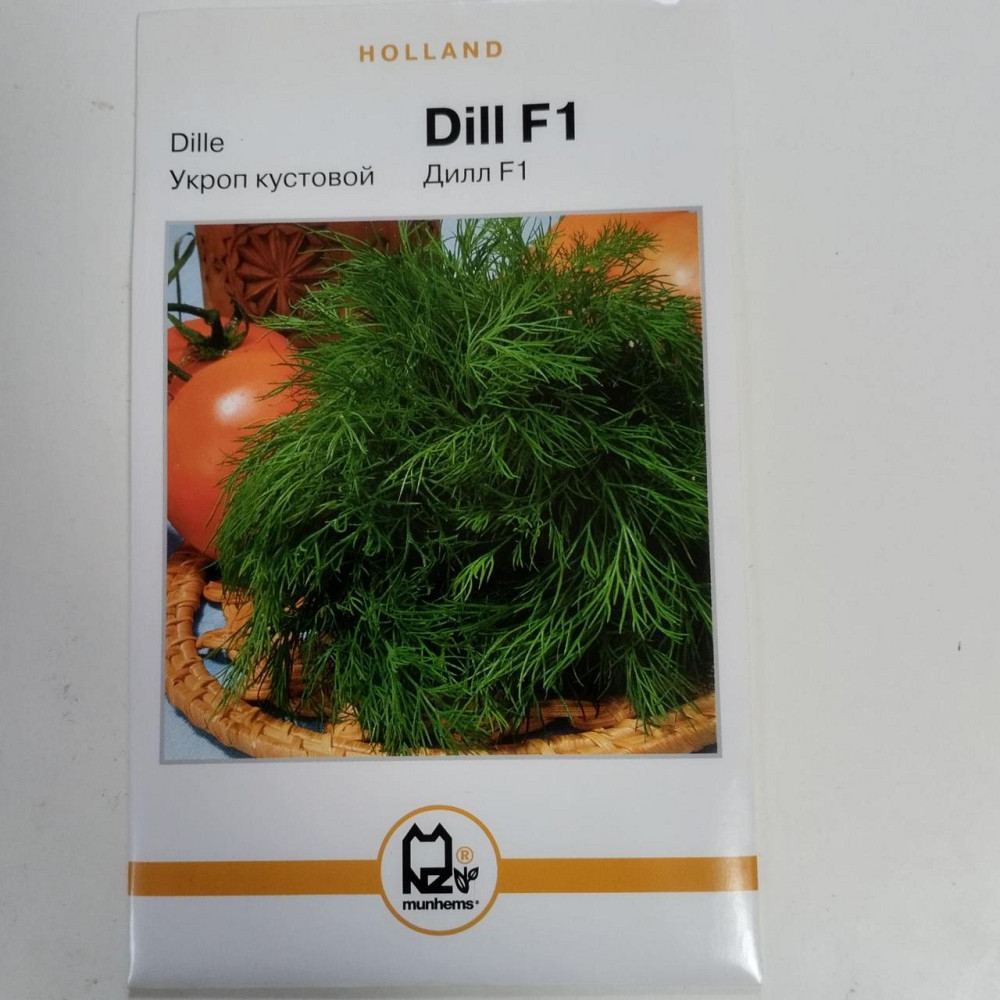 Укроп 