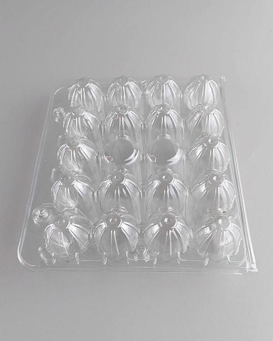 Упаковка для перепелиных яиц 18 ячеек (Квадратная) ПРОЗРАЧНАЯ (50 шт) Харьков - изображение 4