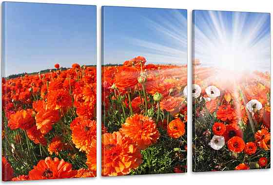 Модульна картина Квіти Маки Art-19_3А Київ