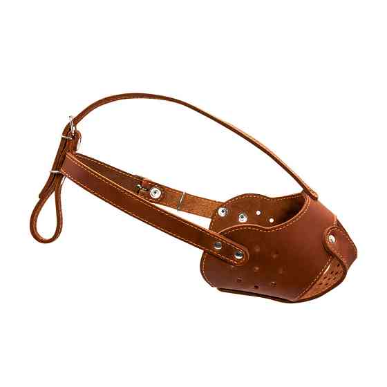 Намордник "CoLLaR" (стафф) коричневий Коломыя