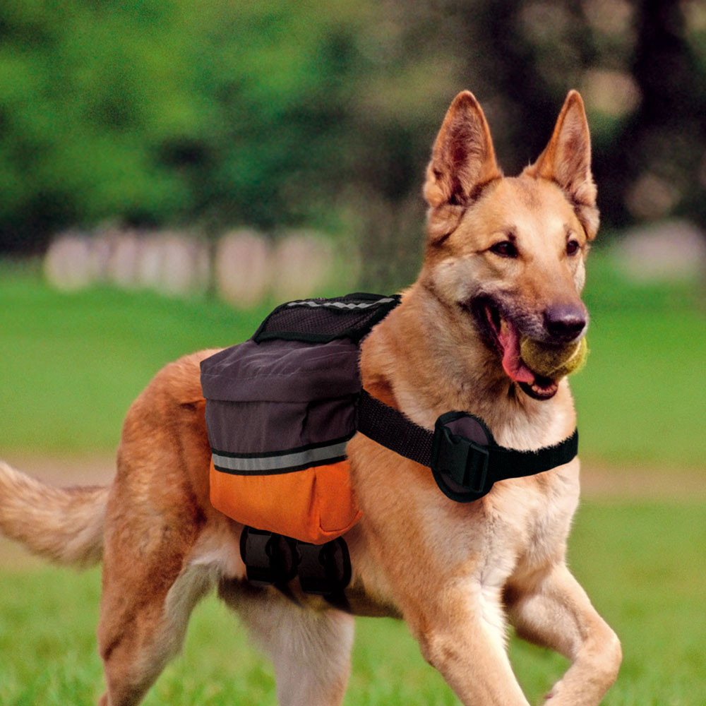 В'язькова сумка для собак Ferplast Dog Scout (Ферпласт Дог Скаут) Запоріжжя - фото 3