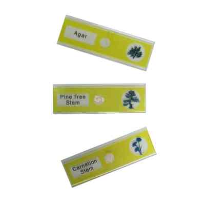 Набор микропрепаратов Sigeta Entrance Життєві цикли рослин 12 шт (65125) Винница