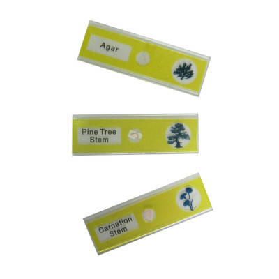 Набір мікропрепаратів Sigeta Entrance Життєві цикли рослин 12 шт (65125) Вінниця - фото 2