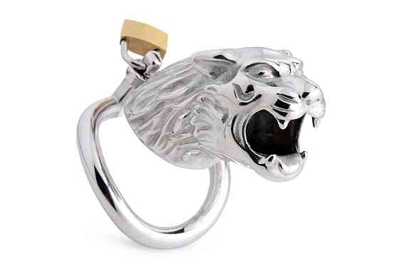 Клітка для пеніса Master Series: Tiger King Cock Cage With Lock, три кільця, замок, три ключі Sex Aura Київ