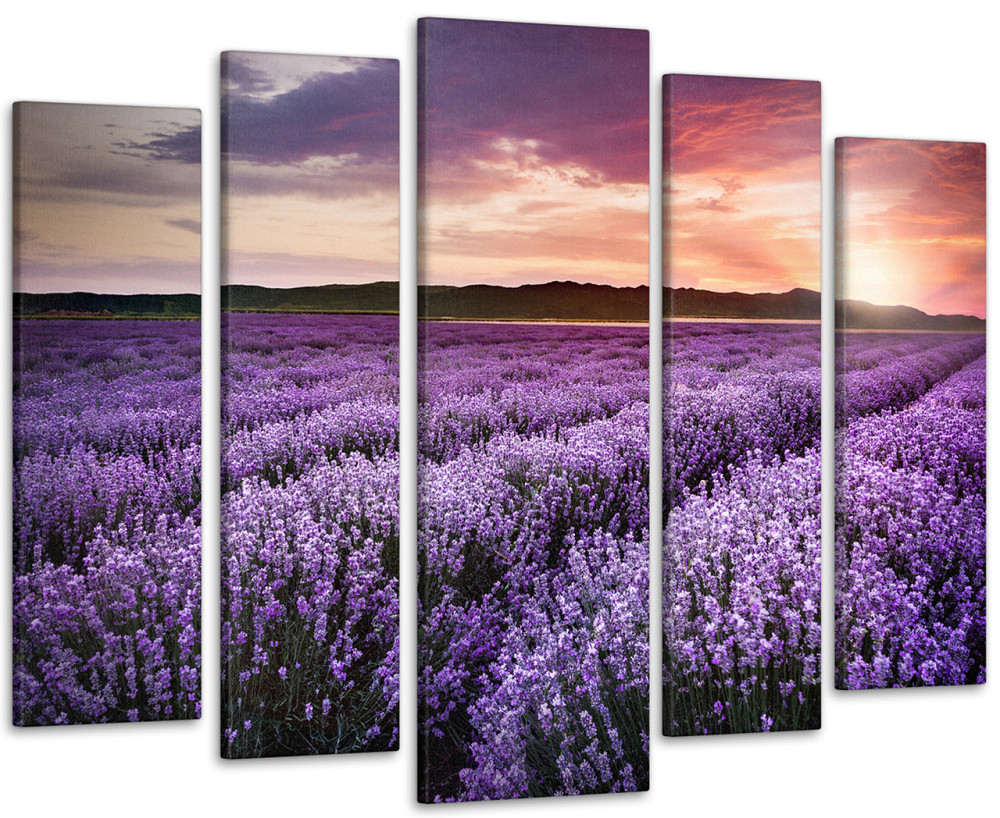 Модульна картина Полі Лаванда Art-174_5 Київ - фото 1