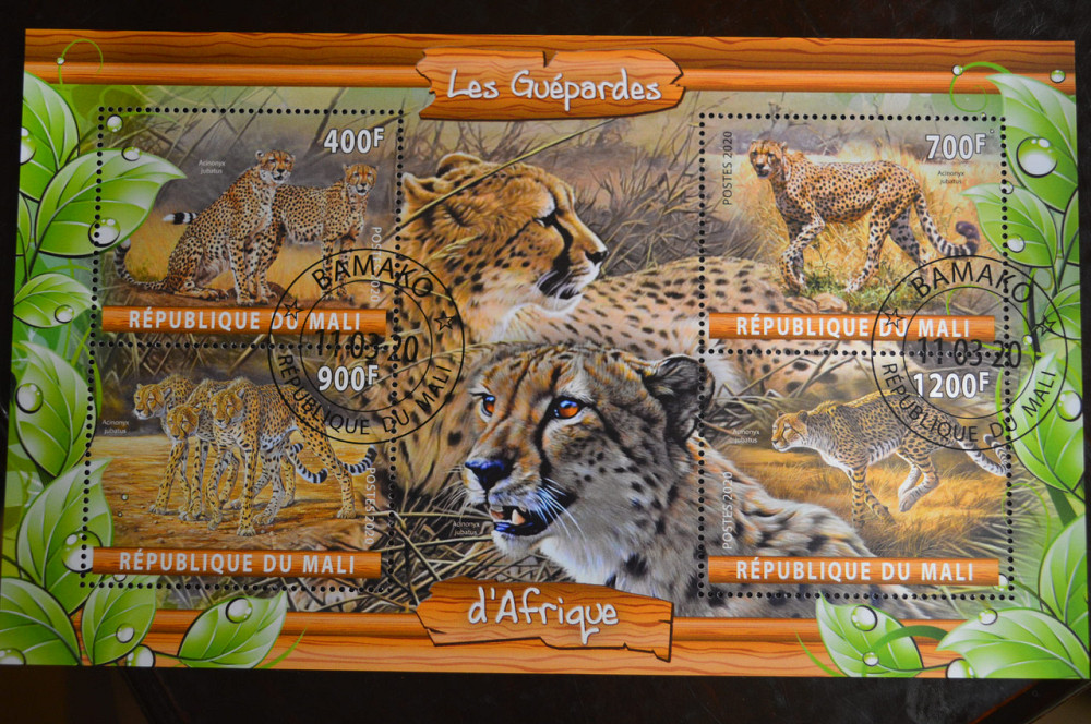 Мали. Марки. Фауна. Блок. 2020 год (В-2) Полтава - изображение 1