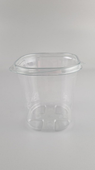 Харчові паковання поліпропіленова на В-122 прозорий полімерний (50 шт.) Харків - фото 2