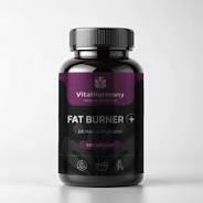 Капсули для спалювання жиру Fat Burner Plus VitalHarmony, 60 капсул Дніпро - фото 1
