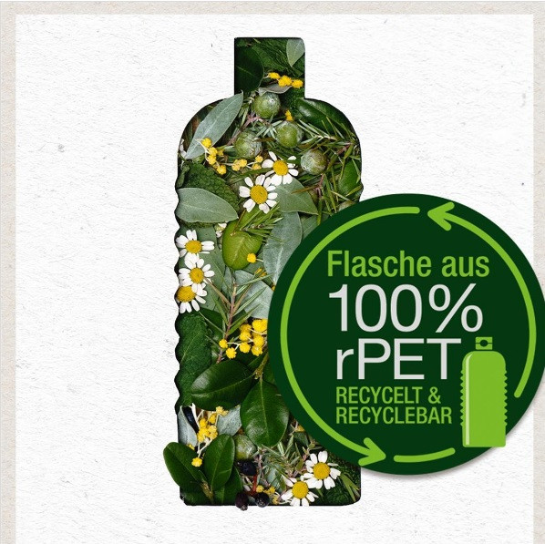 БІО-Шампунь Зміцнення та Ріст для волосся з віковими змінами з Кофеїном Logona 250 мл Київ - фото 3