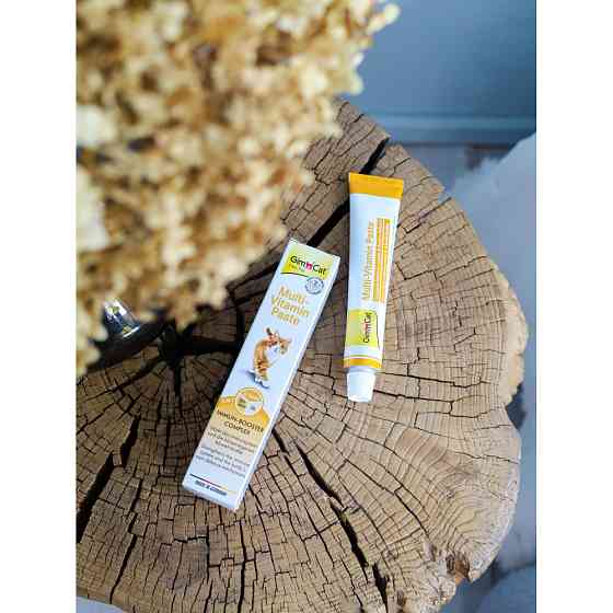 Мультивитаминная паста GimCat Every Day для кошек, 50 г Винница