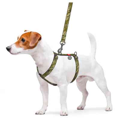 Шлея для собак WAUDOG Nylon з QR паспортом анатомічна H-подібна "Мілітарі" L (322-4026) Вінниця