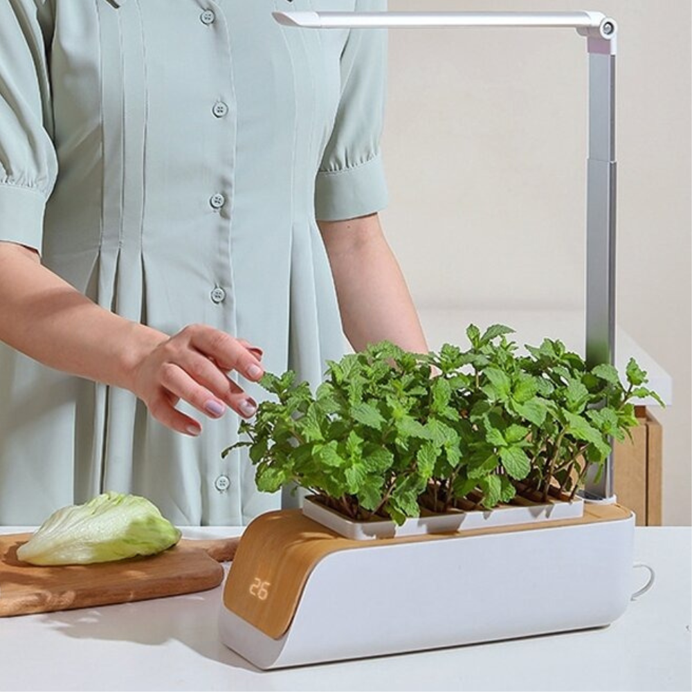 Гідропонна система Smart з LED підсвічуванням для домашнього вирощування саду, потужність 10 Вт посадкових місць 9 Кам'янець-Подільський - фото 1