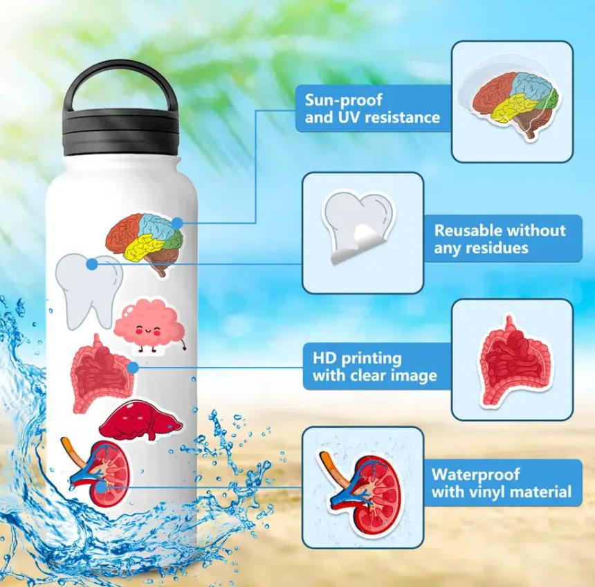 Наклейки органи людини. Водонепроникні вінілові естетичні наклейки для пляшки води, комп'ютера, ноут Київ - фото 5