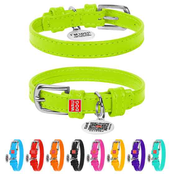 Нашийник для собак шкіряний WAUDOG Glamour з QR паспортом, без прикрас, XS, Ш 12 мм, Дов 21-29 Коломыя