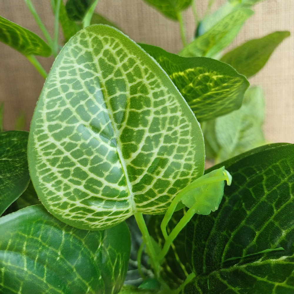 Штучний кущ фітонії із латексу Дніпро - фото 5