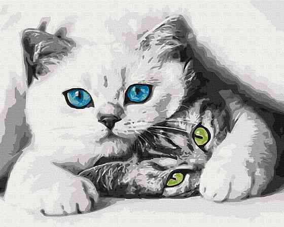 Муркотики Київ