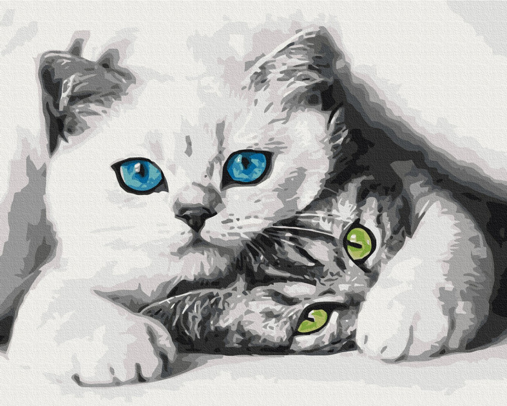 Муркотики Київ - фото 1