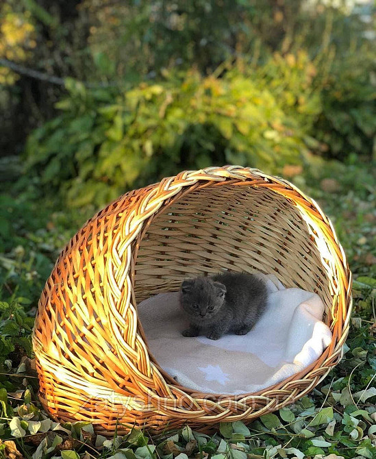 Плетений будинок для кішки Київ - фото 3