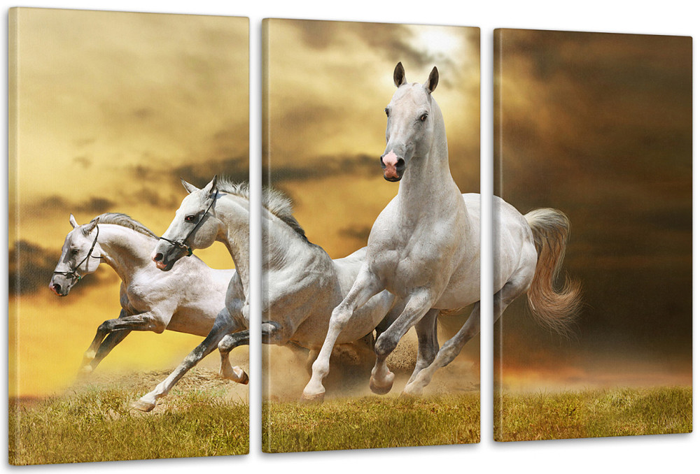 Модульна картина Коні Аrt-79_3А Київ - фото 1