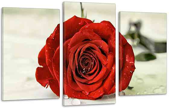 Модульна картина Троянда Квіти Art-27_3 Київ