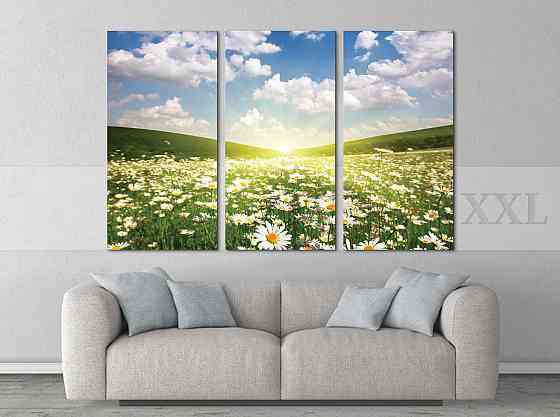 Модульна картина Поле Ромашок Art-170_XXL Київ