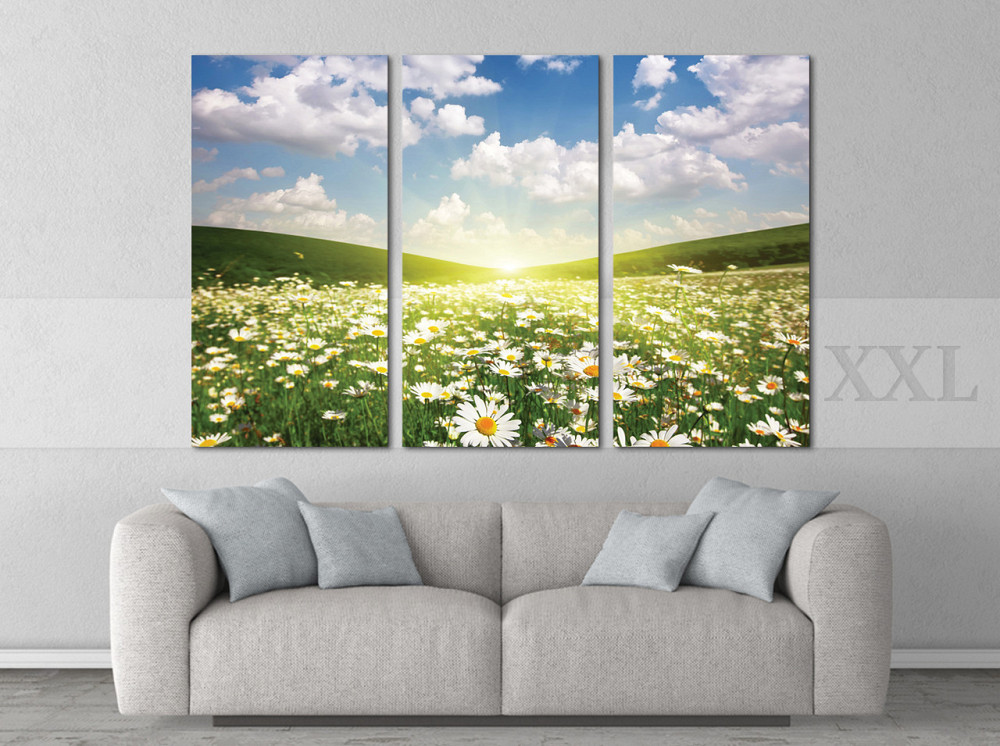 Модульна картина Поле Ромашок Art-170_XXL Київ - фото 2