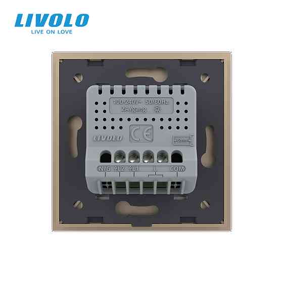 LIVOLO Сенсорний димер 2 сенсори LIVOLO золото матове скло Коломия