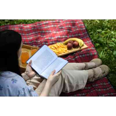 Плед Ardesto Picnic 130х170см, 100% полиэстер, клетка красная (ART0916RC) Винница