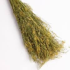 Веник запарочный 