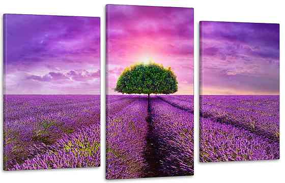 Модульная картина в гостиную / спальню    Лавандове поле Киев
