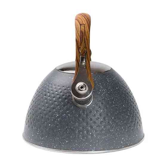 Чайник на 3 літри зі свистком сірий потрійне дно HP33535G Київ