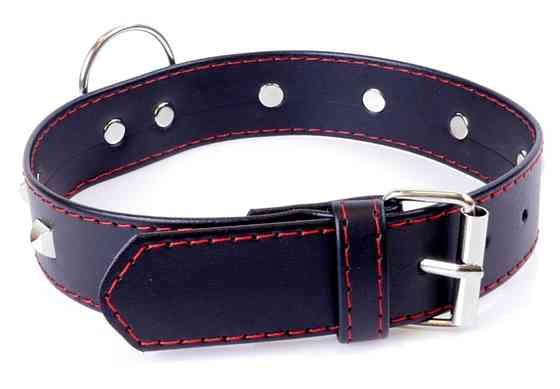Ошейник из искуственной кожи с металлическими заклепками Fetish Boss Series - Collar with studs Red Line, Sex Aura Киев