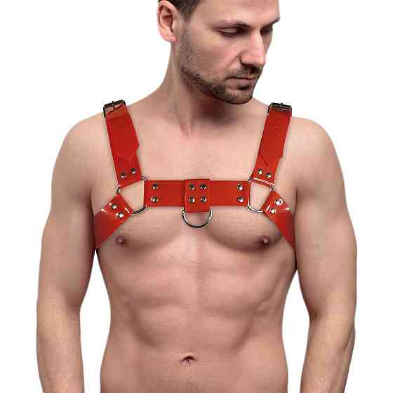 Чоловіча портупея на груди Feral Feelings - Bulldog Harness Red Sex Aura Київ
