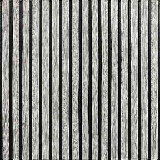 Панель-рейка 680х670х5мм Серебряно-чёрный SW-00002532 Днепр