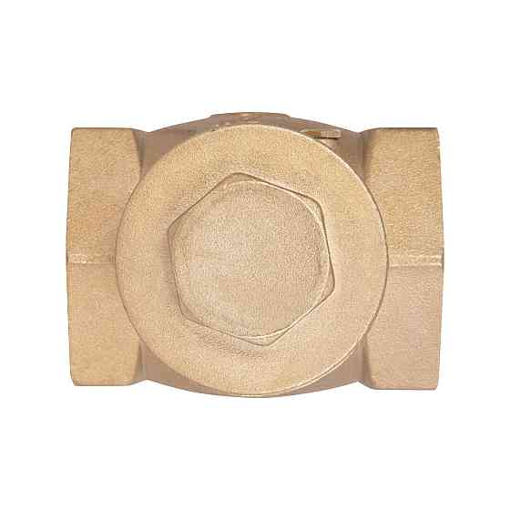 Зворотний клапан Thermo Alliance Standart 2" SD242W50 Київ