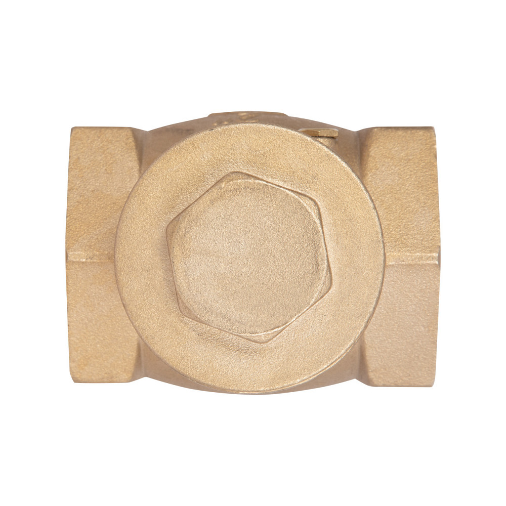 Обратный клапан Thermo Alliance Standart 2