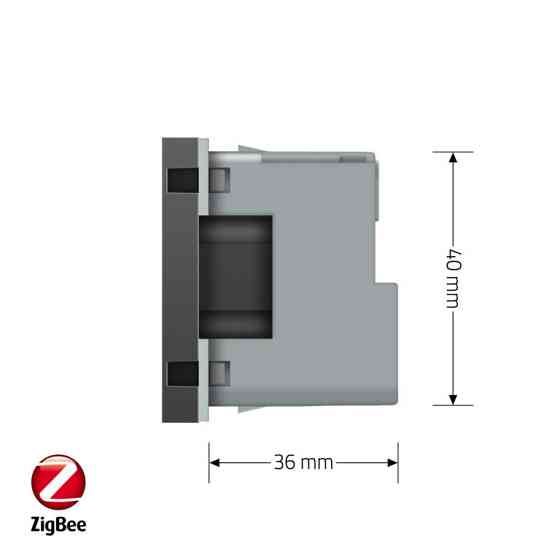 LIVOLO Розумна розетка LIVOLO ZigBee, з заземленням, сіра, 16А 230В, керування через Alexa / Go Коломия