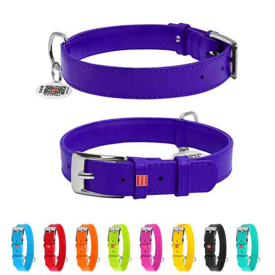 Нашийник для собак шкіряний WAUDOG Glamour з QR паспортом, без прикрас, L, Ш 25 мм, Дов 38-49 с Коломыя