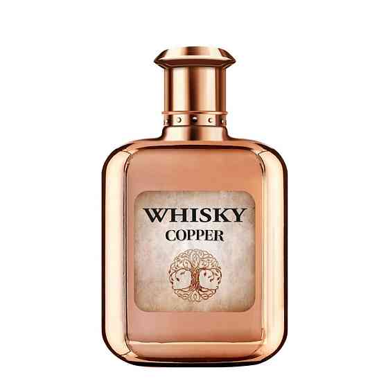 Туалетна вода чоловіча Whisky Copper Evaflor 100 мл Запоріжжя