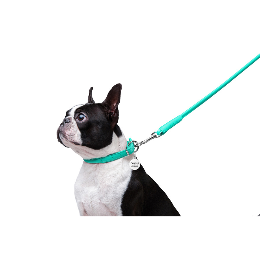 Повідець для собак шкіряний WAUDOG Glamour круглий, Д 8 мм, Дов 122 см ментоловий Коломыя - изображение 2