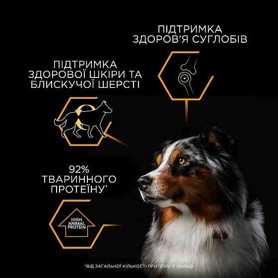 Влажный корм PRO PLAN Adult для взрослых собак, кусочки в желе, с рыбой, 400 г Киев