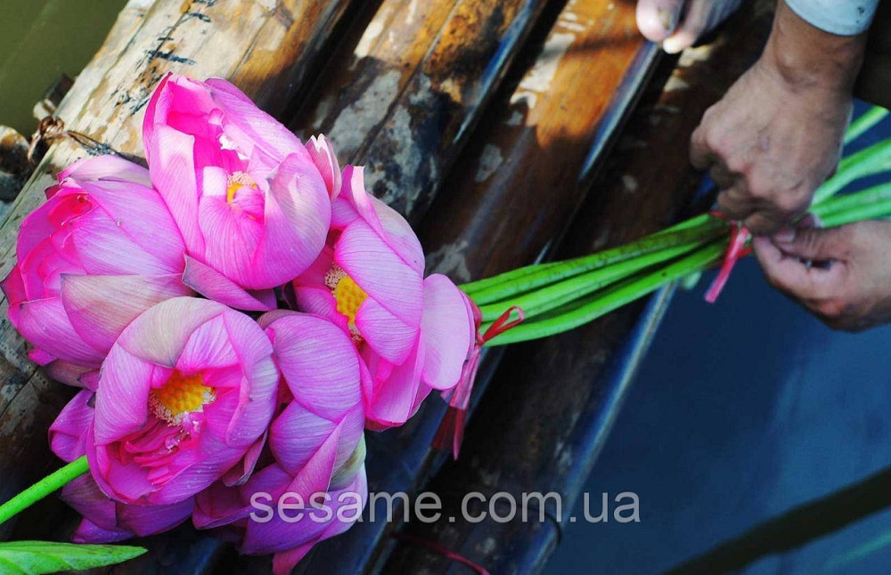 Вьетнамский Зеленый чай Премиум с лотосом Lotus Green Tea 125грамм Харьков - изображение 6